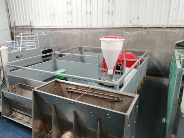 Buy cheap Pvc Panel Pig Farrowing Crate from wholesalers