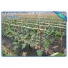 Buy cheap 70gsm Agriculture Non Woven Cover , PP Nonwoven Fabric For Agricultute Weed Control Matting from wholesalers