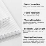 4mm-12mm Polycarbonate Greenhouse Sheet Flower Gardens PC Twin Wall Hollow Sheet