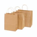 Eco Reusable Hard Extra Large Fast Food Packaging Takeaway Apple Custom Logo