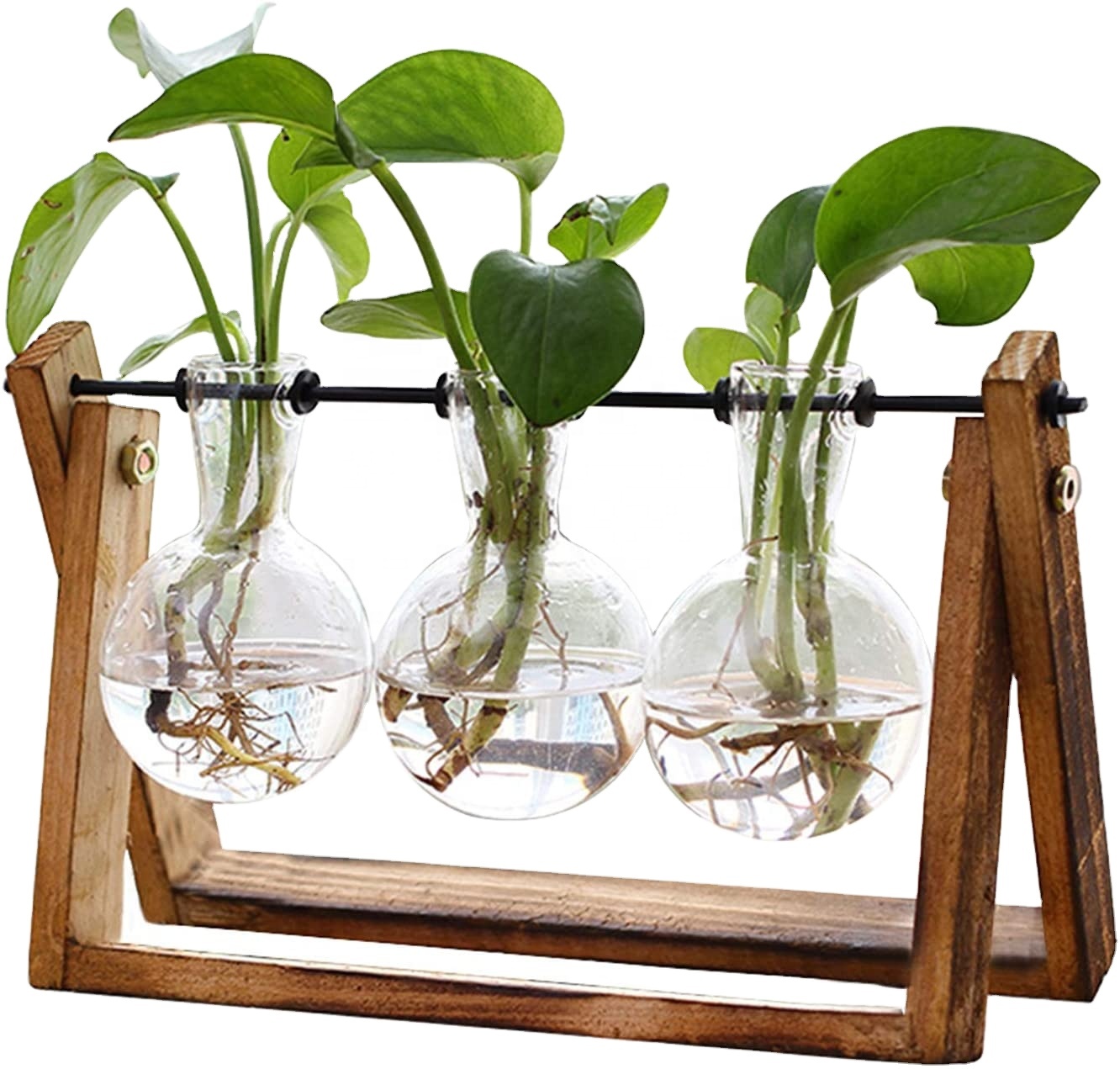 Desktop Glass Planter Plant Terrarium with Retro Solid Wooden Stand and Metal Swivel Holder for Home Office Decorations