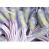 Buy cheap Miracle Bean 0.15W IP67 Led 5V 9mm Miracle Bean Led Pixel Lamp from wholesalers