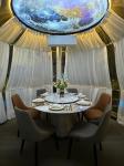 Hot Sale Modern Style Dome-shaped Outdoor Mobile Starry Bubble House Green PC