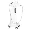 Buy cheap 0.3mm Microneedle Rf Fractional Skin Resurfacing Machine from wholesalers