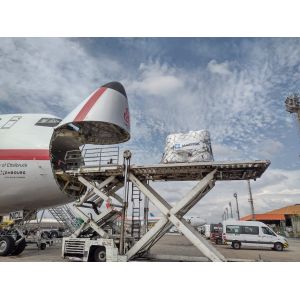 Buy cheap s Top Air Cargo Logistics Services Shipping Agent to Finland Denmark and Copenhagen 3 Days Dispatch Time Insurance Provided from wholesalers