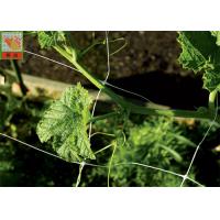 Buy cheap White Plastic Pea And Bean Netting , Extruded Polyethylene Mesh Netting 3 Meters product