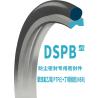 Buy cheap DSPB Dust Seal from wholesalers