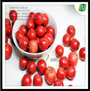 Buy cheap hawthorn leaf extract powder 90% from wholesalers