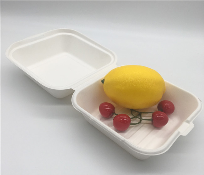 6x6 Inch Biodegradable Takeout Containers