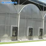 Buy cheap Automatic System Multi-Span Greenhouse PC Polycarbonate Film Greenhouse Steel from wholesalers