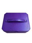 Purple Ozone Family 6 Pcs LED Lamp UV LED Sterilizer Bag