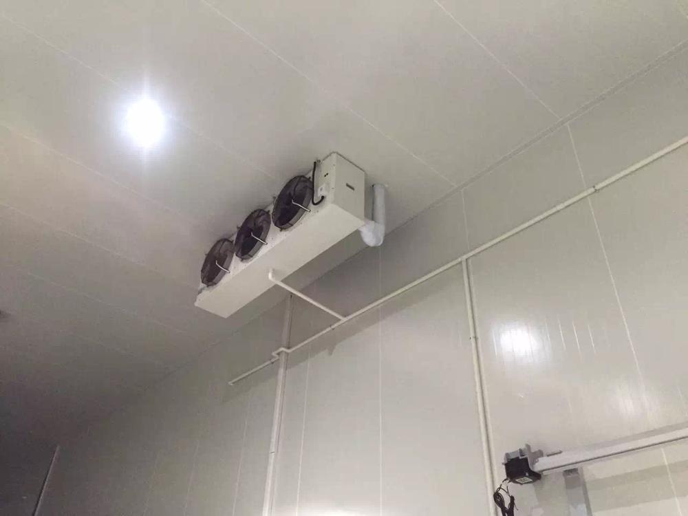 Prefabricated Energy Saving Freezer Cold Room With High Efficiency