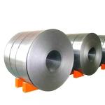 AMS Standard Galvanized Steel Coil HRC Ss400 Q235 St37 Width 600-1500mm