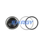 For Mercedes W220 front A2203202438 Mercedes Shock Absorber Accessories