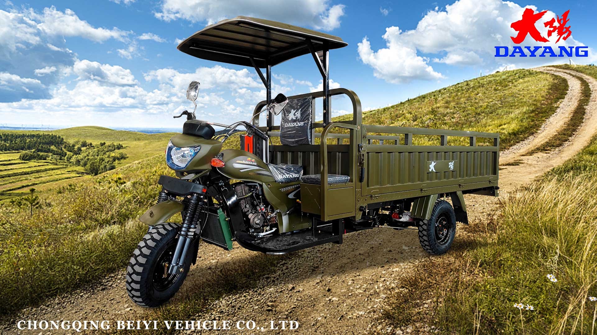 Open Body Type DAYANG Cargo Motor Tricycle with Front Drum and Rear Drum Brake System