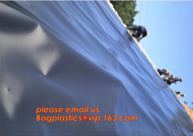eco-friendly hdpe geomembrane liner geomembrane price,eco-friendly hdpe geomembrane liner waterproofing membranes BAGEAS