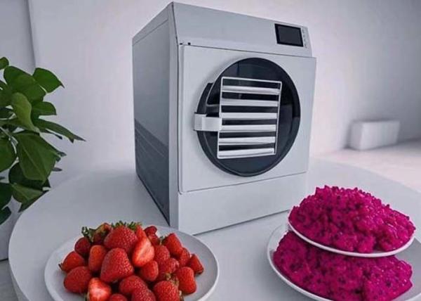 Buy cheap 15KG 20kg Home Commercial Freeze Dry Machine For Long Term Food Preservatio from wholesalers