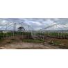 Buy cheap Single Span Greenhouse Simple Frame Poly Tunnel Film Greenhouse For Agricultural from wholesalers