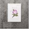 Buy cheap Personalized Clothing Decor | Heat Transfer Purple Rose Patch | Quick DIY & Durable Fashion Fix from wholesalers