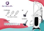 Vertical Cryolipo Fat Freezing Equipment Weight Loss Body Slimming 110V / 220V