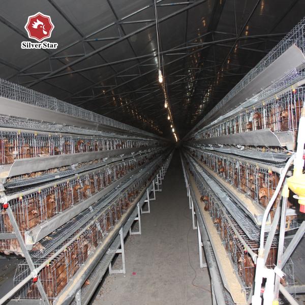 Buy cheap Chicken Farm Used Battery Cage Poultry House A Type 3 Tiers from wholesalers