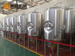 600 L Bright Polished Beer Fermentation Tanks , Large Conical Fermenter
