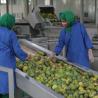 Buy cheap Complete Fruit Juice Production Line 75kw Apple Juice Making Equipment from wholesalers