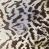 Buy cheap Monochrome And Grain Metallic Coated Paper For Invitations Packaging from wholesalers