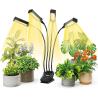 Buy cheap 4 Head Gooseneck LED Plant Grow Light Garden Lighting LED Grow Light 18W Full Spectrum Phyto Lamp from wholesalers