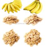 100kg 200kg 300kg Banana Chips Making Machines 20kg/H 50kg/H 100kg/H