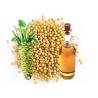 Buy cheap Allyl Isothiocyanate Mustard Oil , High Concentration Natural Seasoning For Food from wholesalers