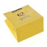 Garment Shopping Branded Paper Bags embossing Pantone Printing 190x120x210mm