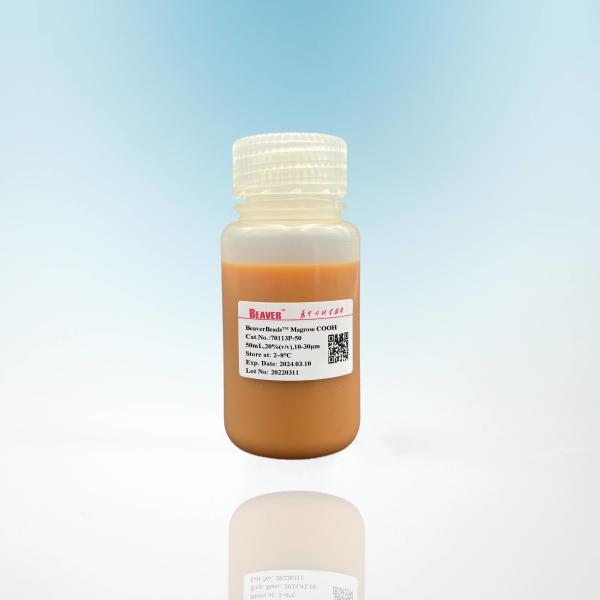 Buy cheap 50 ML Protein Purification Magnetic Agarose Beads 10 - 30 μM 20% Volume Ratio from wholesalers