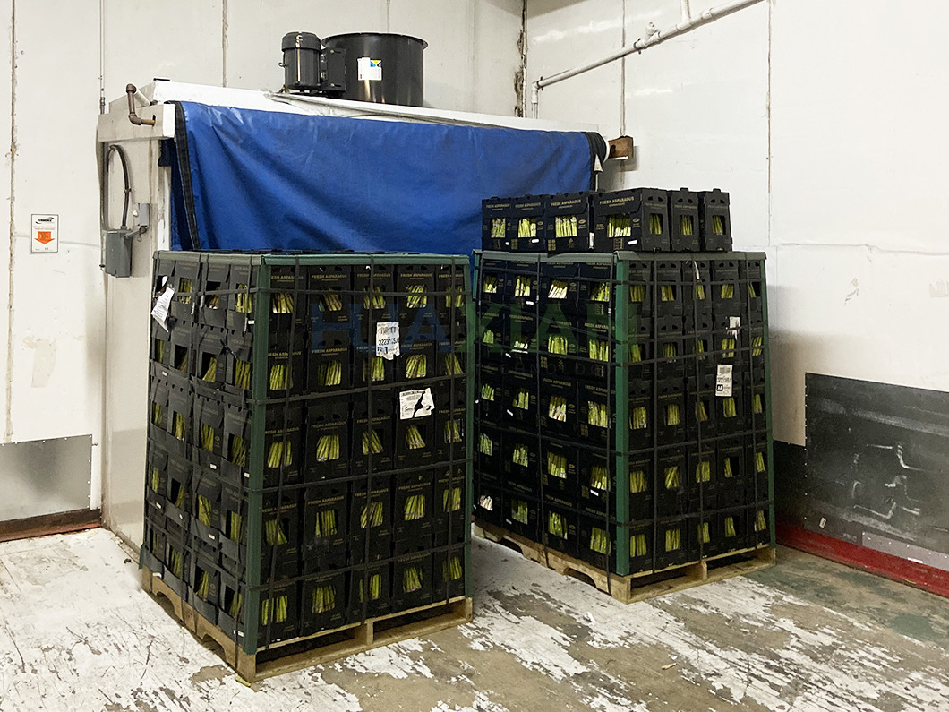 Small Forced Air Cooler 6 Pallets Mobile Vegetables For Cold Storage Room