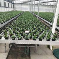 Buy cheap ABS Plastic Greenhouse Accessories Greenhouse Rolling Bench PEP Film Covering product