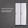 Buy cheap Stainless Steel ISO14001 Metal Locker Storage Cabinet Living Room from wholesalers