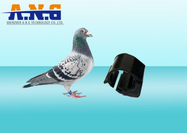 Buy cheap 134.2Khz Wireless ABS Rfid Ring Tag 3G Pigeon Foot Ring With 100000 Times Endurance from wholesalers