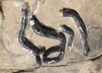 Radiator Hose Pipe Excavator Machinery Parts 11NB40150 Cooling Water Hose