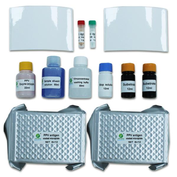 Buy cheap Parvovirus Antibody Diagnostic Porcine Test Kit 192Wells/Kit PPV from wholesalers
