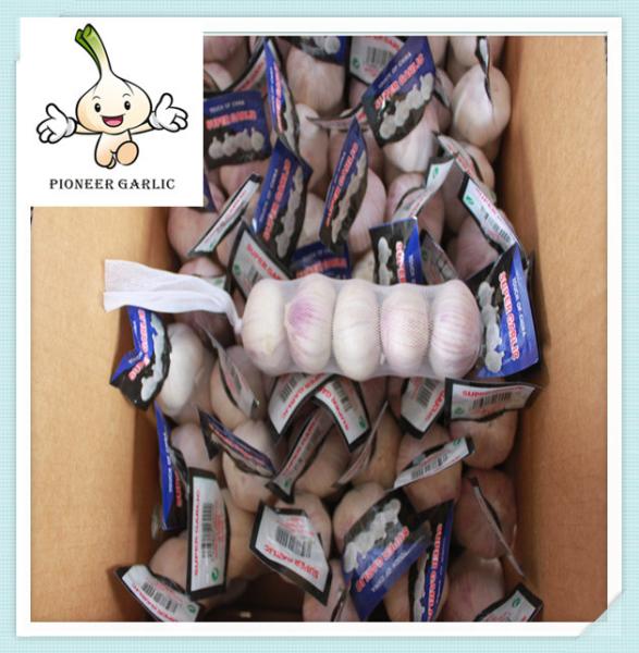 Buy cheap Chinese Garlic Super Quality & Price Super Normal White Garlic from wholesalers