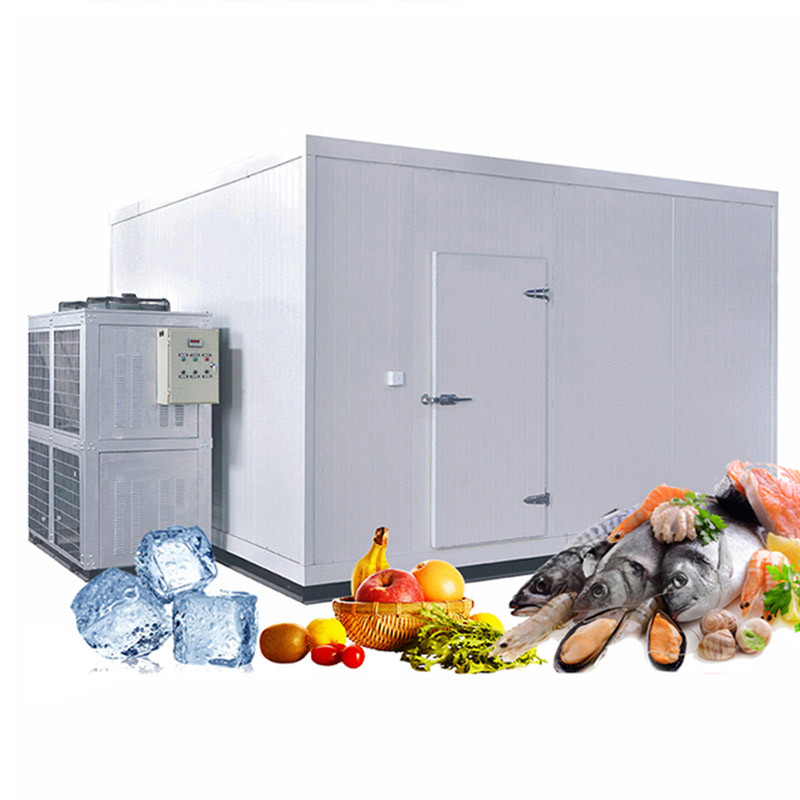 Customized Cold Room Freezer High And Low Temperature Walk In Freezing Refrigerator