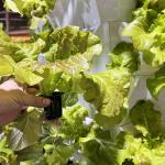 65L 14 Layer 112 Holes Agriculture Greenhouse Vertical Growing Towers Vertical