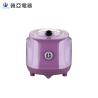 Buy cheap Automatic Shut Off Mini Clothes Steamer Quick Heat Up For Hotels / Shops from wholesalers