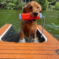Buy cheap Dogs Water Play Inflatable Pup Plank Dog Ramp Pet Ramp Plank Float Platform For product