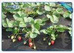 Black Permeable Non Woven Landscape Fabric For Ground Control / Strawberry