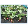 Buy cheap Biodegradable Heavy Duty Agricultrual Non Woven Cover In Black Color 1.5OZ 40gsm To 100gsm from wholesalers