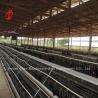 Buy cheap A Type 3 Tiers Layer Chicken Battery Cages 120 Birds 450cm2 Star from wholesalers