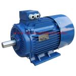 Universal Motor / Flour Mill Motor / Blender Motor / Food Processor Motor