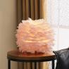 Buy cheap Pink Feather Table Lamp Warm and Romantic Girl Children's Room Table light(WH-MTB-66) from wholesalers