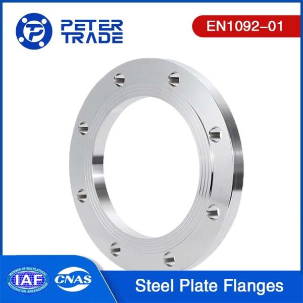EN1092-01 TYPE 01 ASTM A182 F304 316 Stainless Steel Flat Face Plate Flange PN